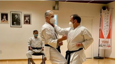 Photo of Недеви учествуваа на онлајн карате семинарот со Шихан Хироши Шираи 10 дан