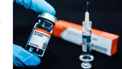 Photo of Половина милион вакцини Синовак се очекува да пристигнат неделава