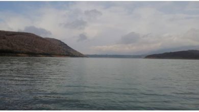Photo of Узурпирани над 4.000 квадрати земјиште во сопственост на ЕСМ кај Дебар