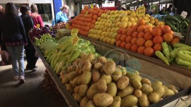 Photo of Пред Велигден јагнешко тешко се наоѓа, цените на зелените пазари повисоки