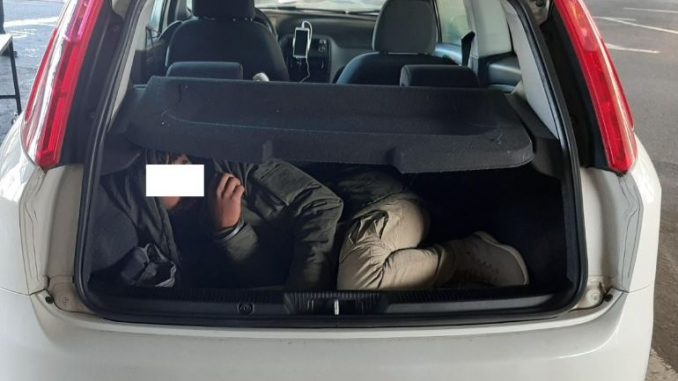 kola_migrant_453