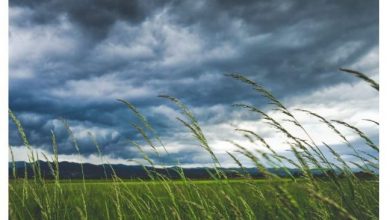 Photo of Наутро магла, преку ден сончево до 13 степени