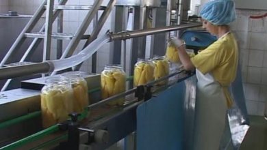 Photo of Поповолни очекувања за производство и порачки во преработувачката индустрија,