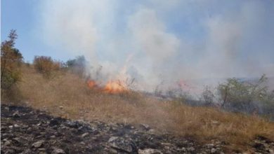 Photo of Пожар зафатил нискостеблеста и дабова шума во Арбанашко, Старо Нагоричане