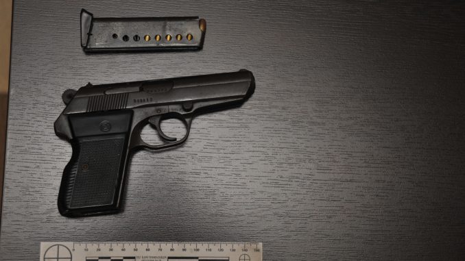 pistol