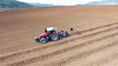 Photo of Заев: Инвестицијата на „М6 Аграр“ и „Тиквеш“ создава услови за производство на квалитетни македонски вина за освојување на светските пазари