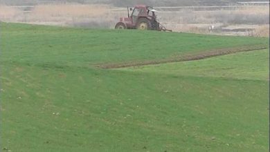 Photo of Националната федерација на фармери не се согласува со новиот Закон за продажба на земјоделско земјиште