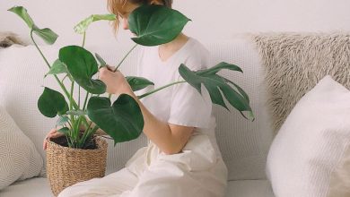 Photo of Поттикнете позитивна енергија во вашиот дом