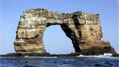 Photo of Се урна Дарвиновата порта