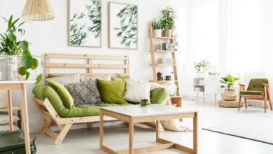 Photo of Совети за пролетно уредување на домот