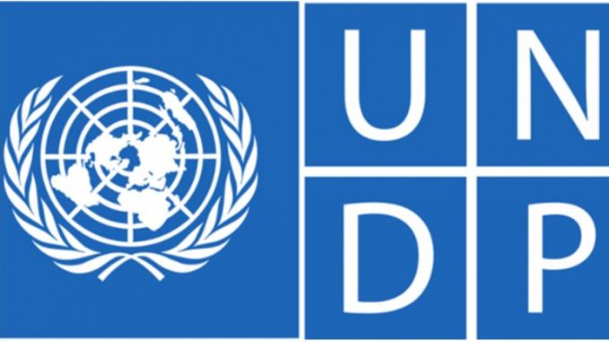 undp_logo_001