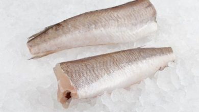 Photo of Влијание на процесот на замрзнување врз квалитетот на рибните производи 
