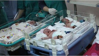 Photo of „Бејби бум“ во Германија