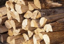 Photo of ЈП Национални шуми ќе исплаќа регрес во огревно дрво, Трендафилов реагира: Државниот инспекторат за труд да отвори постапка