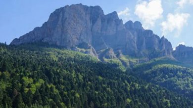 Photo of МЕД и платформата Пријатели на Шара го поздравија прогласувањето на Шар Планина за национален парк