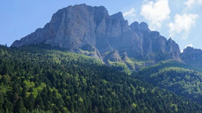 shar_planina_456