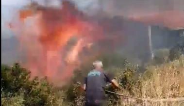 Photo of (Видео) Голем пожар во Дојран – викендици во опасност