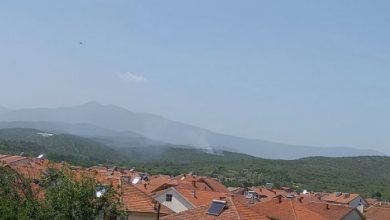 Photo of Пожар над браната „Топлик“ кај Гевгелија