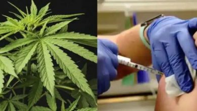 Photo of Во Вашингтон акција: Прими вакцина, добиј џоинт