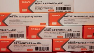 Photo of За два дена Албанија доби 100.000 вакцини на Синовак