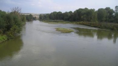Photo of Две момчиња завршија во болница вчера поради премрзнување во Вардар