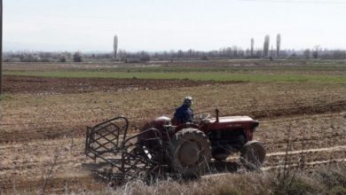 Photo of Јавна расправа: Продажбата на државното земјоделско земјиште реформа или можност за узурпација