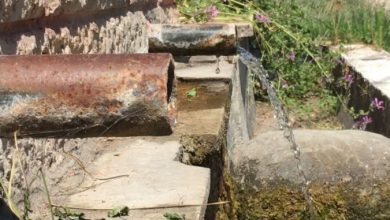 Photo of Јавните чешми и бунарите во руралните средини најподложни на бактерии, водата од нив се злоупотребува и за наводнување