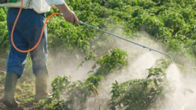 Photo of Без соодветна обука, сертифицирана опрема и лиценца нема користење пестициди