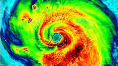 Photo of Флорида се подготвува за ураганот Елса