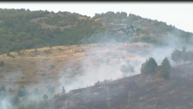 Photo of (ВИДЕО) Пожарот кај Кочани ставен под контрола, но не е локализиран. Kуќите не се во опасност