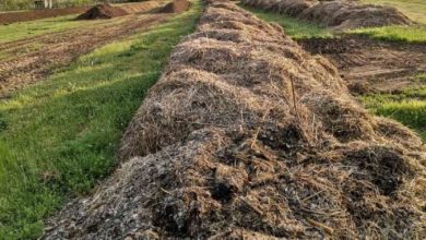 Photo of Купиштата земјоделски отпад во струмичко со компостирање можат да се претворат во „црно злато“