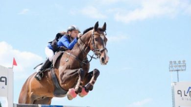 Photo of Одржан првиот Јулски коњички турнир