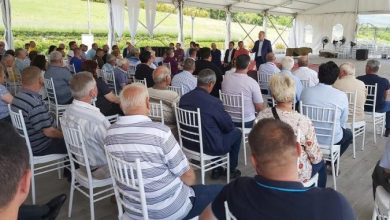 Photo of Откуп на грозје ќе има, „Тиквеш“ веќе почна со потпишување на договори со лозарите