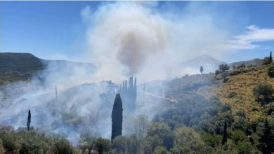 Photo of Пожар на Кефалоња, превентивно евакуирано село