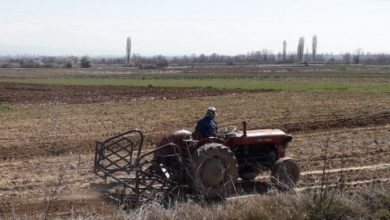 Photo of Преку мерката „Млад земјоделец“ младите и невработени лица до 40 години ќе можат да си отворат сопствен бизнис во земјоделство