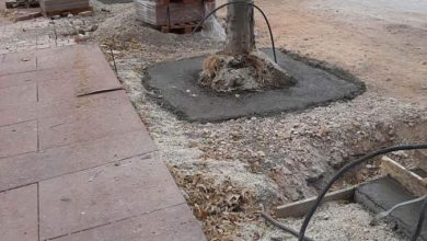 Photo of Шилегов наместо да асфалтира улици, бетонира дрва, а секоја втора плочка е пукната од кејот вреден неверојатни 1,5 милиони евра