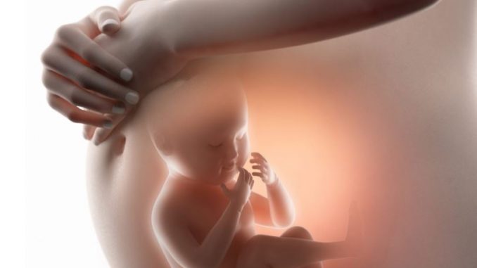 dete_zena_bremena_bebe_23423