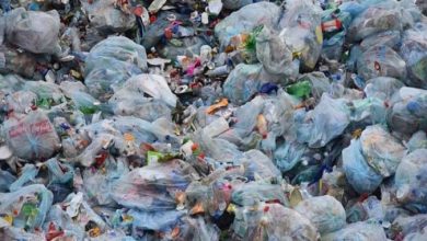 Photo of Трибина ,,ЕУ ја забранува пластиката, а ние?”