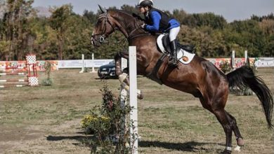 Photo of Викендов во Идризово трет „Јулски коњички турнир“