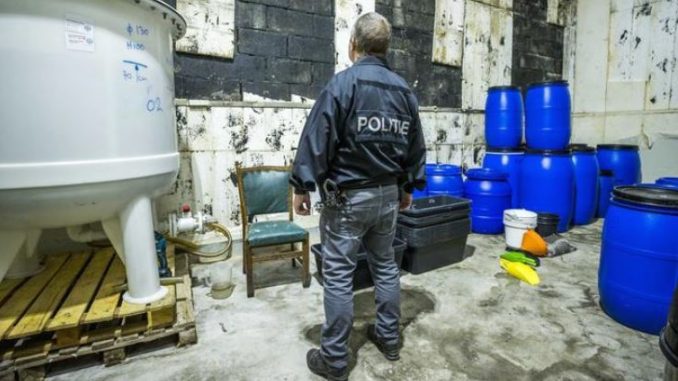 laboratorija sintetichka droga holandija