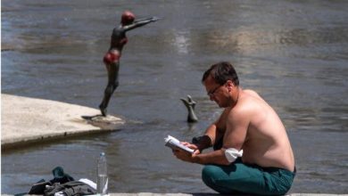 Photo of И денеска многу топло, попладне локален пороен дожд и грмежи