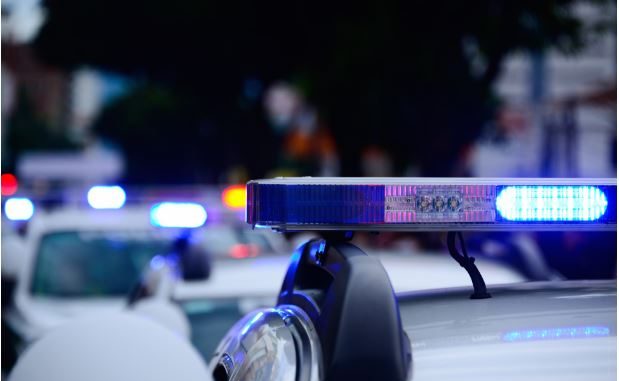 policija_flesheri_01