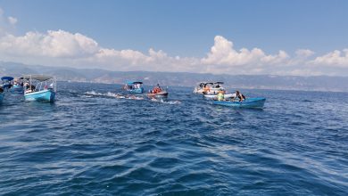 Photo of На Охридското Езеро се одржува Меѓународниот пливачки маратон на ФИНА