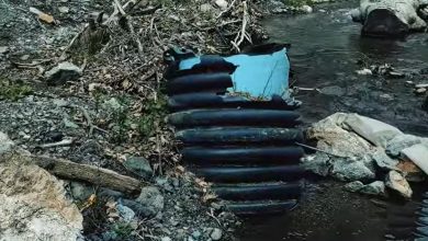 Photo of Убавините на Демиркаписката Клисура огрдени со шут, засегнатите бараат решавање на проблемот