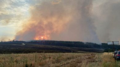 Photo of Нов повик за доброволци синоќа објави Кризниот штаб во Пехчево
