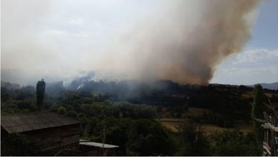 Photo of Пожарот во Пасјак зафати дел од куќите, населението евакуирано