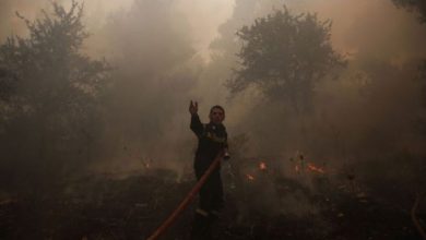 Photo of Подобрена ситуацијата со пожарите во Грција – активни се на Пелопонез и Хиос