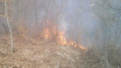 Photo of Приведени тројца скопјани – палеле со кабли