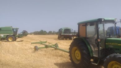 Photo of Попис 2021 и аграрот