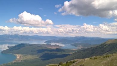 Photo of Кривична пријава против в.д. директорката на Националниот парк „Галичица“ – дозволила градежни активности во заштитена зона